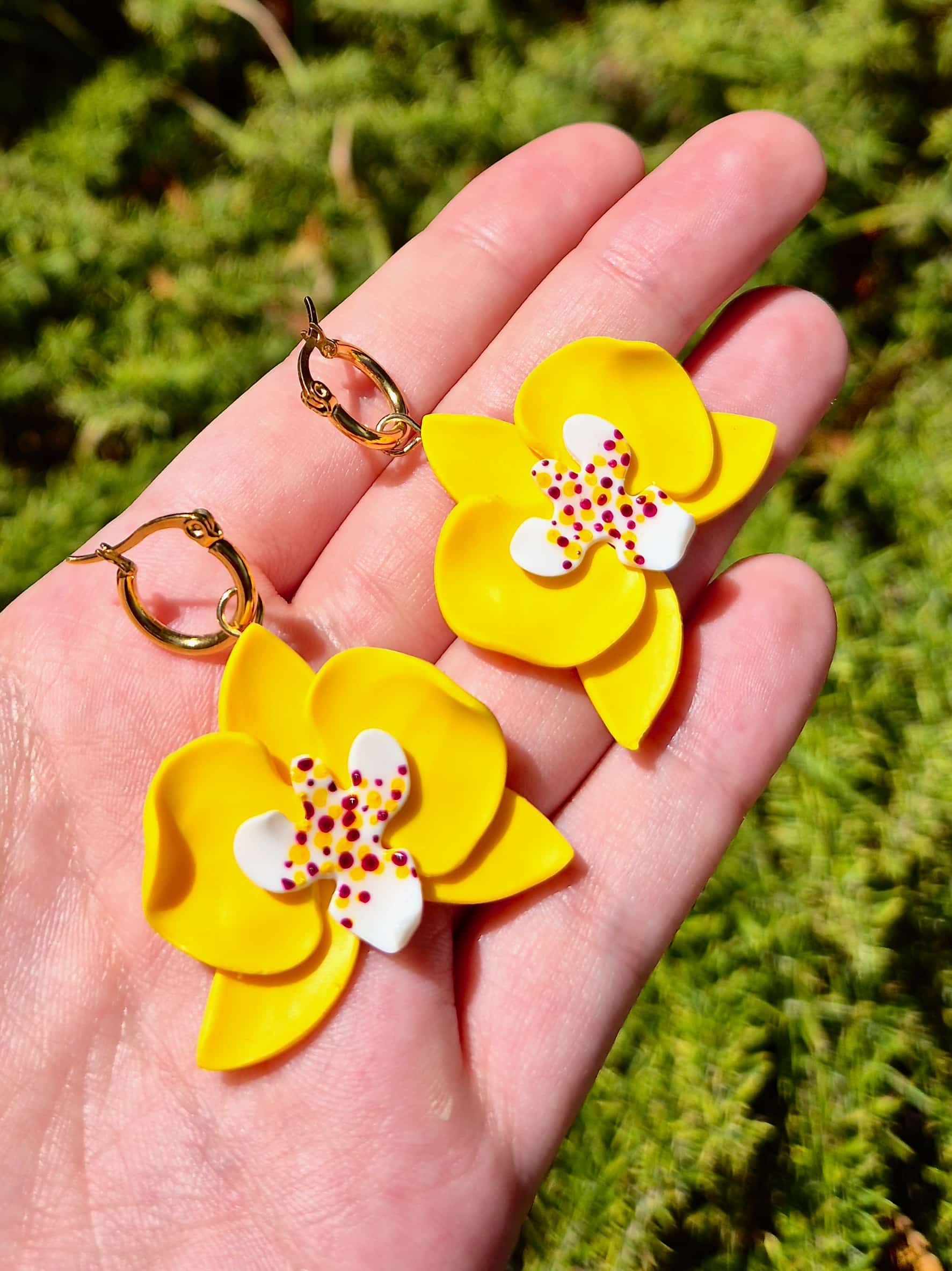 ORQUÍDIA AROS - Imagen 10