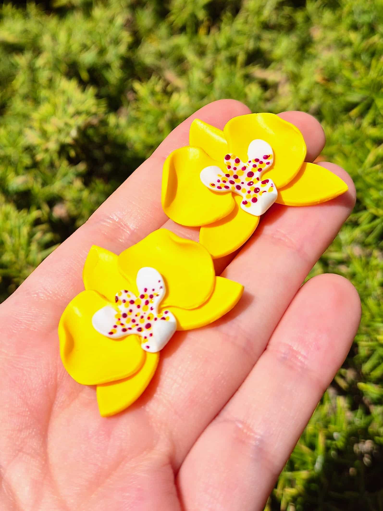 ORQUÍDIA BOTÓ - Imagen 10