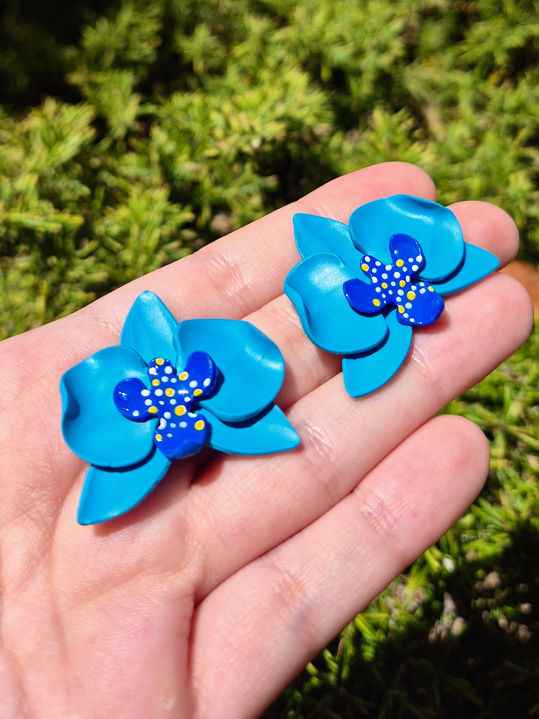 ORQUÍDIA BOTÓ - Imagen 11