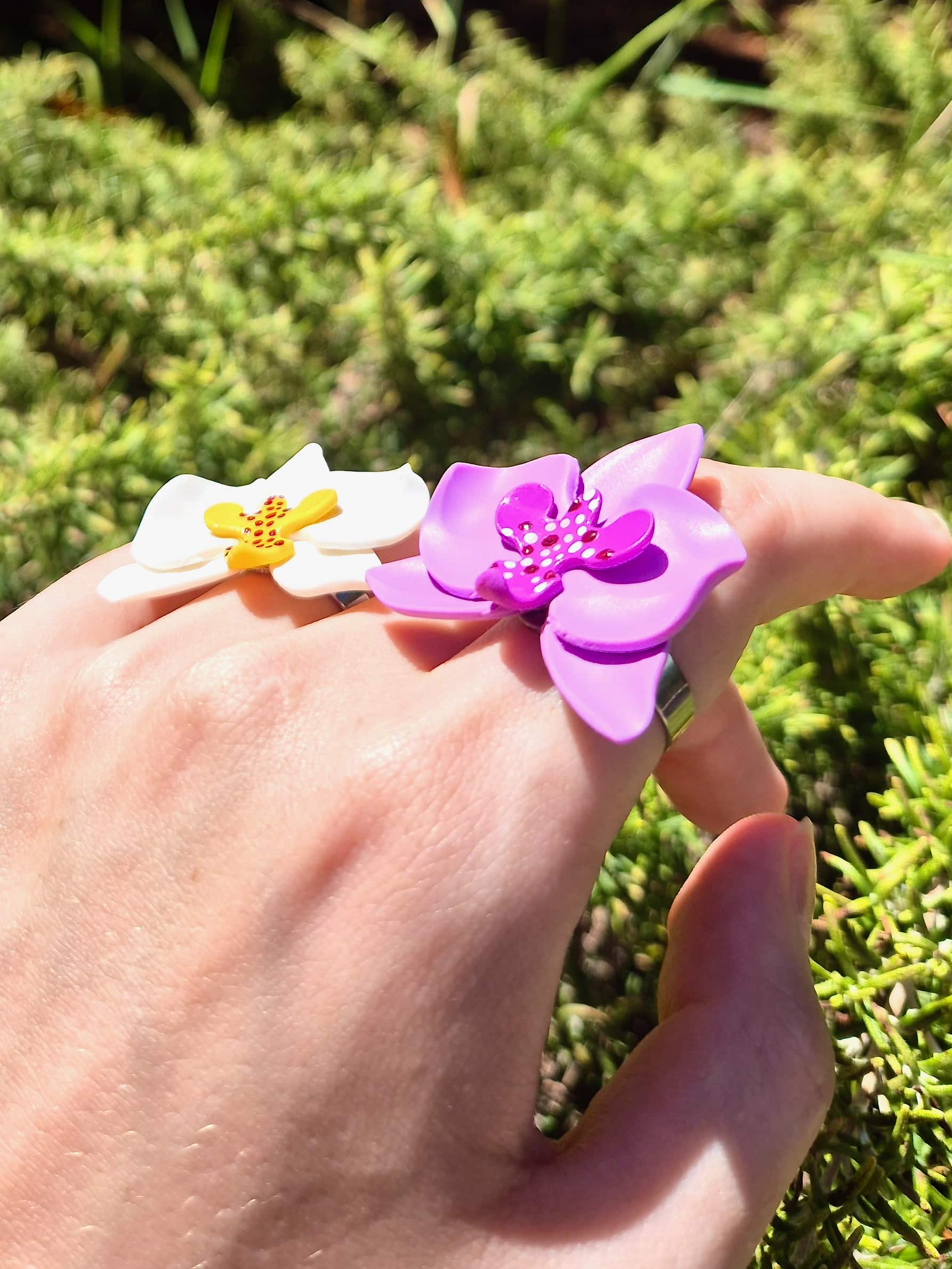 ORQUÍDIA ANELL - Imagen 3