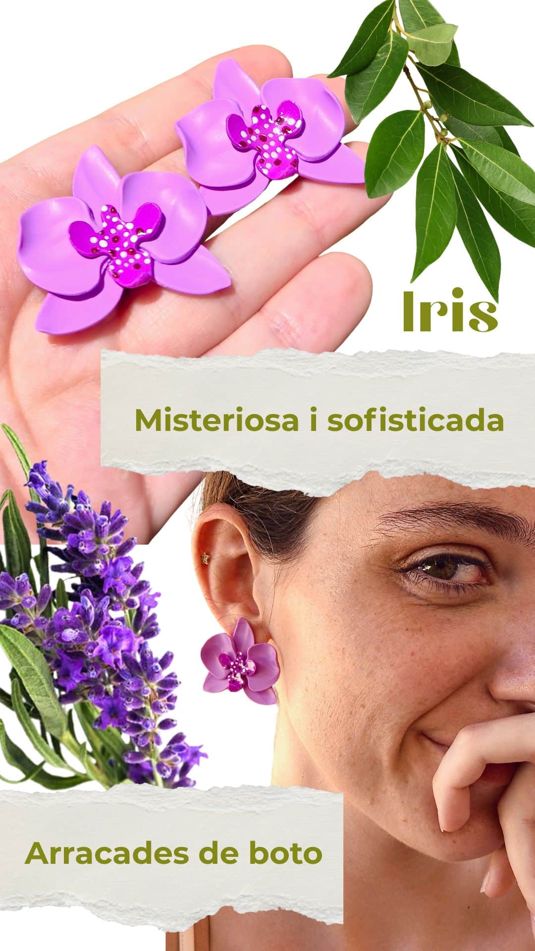 ORQUÍDIA BOTÓ - Imagen 3